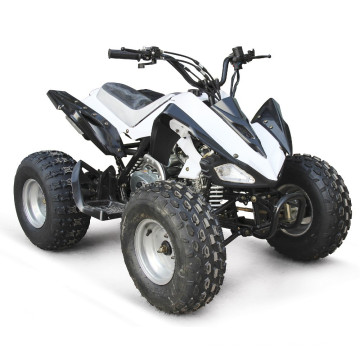 ATV 110CC QUAD BICICLETA NIÑOS KAWASAKI ESTILO ATV CON CAMBIO AUTOMÁTICO HX110K